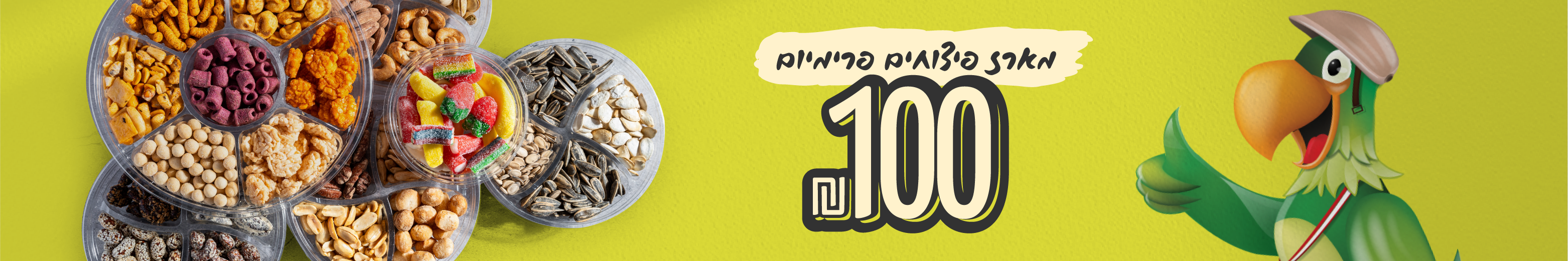 באנר מארז פיצוחים פרימיום 100 שח