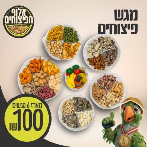 מגש פיצוחים 100 שח