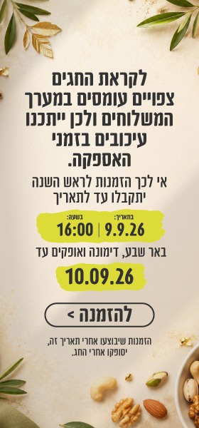 עיכובים וזמני אספקה