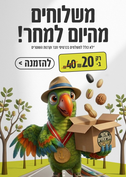 משלוחים מהיום למחר פופ אפ