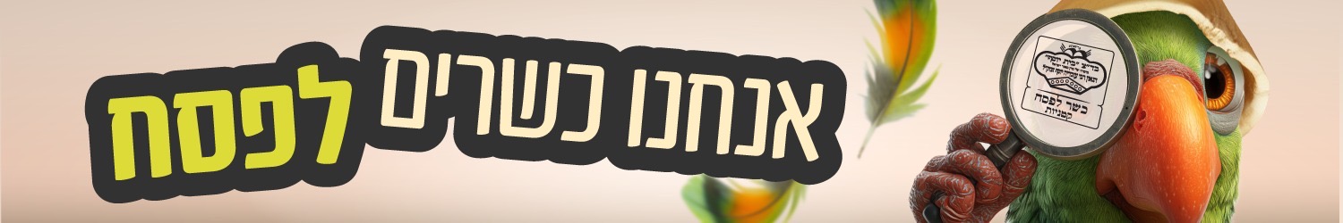 אנחנו כשרים לפסח ווב