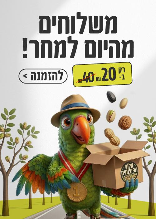 פופ אפ משלוחים מהיום למחר