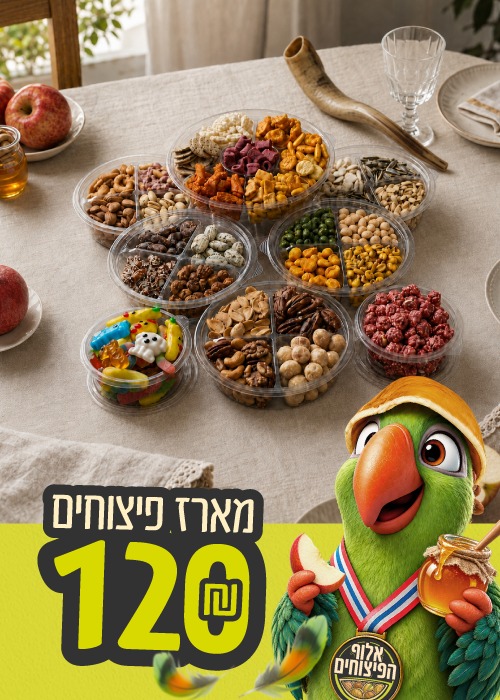 מארז פיצוחים 120